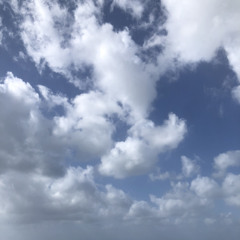 Paravi- Love Grows (Where My Rosemary Goes)