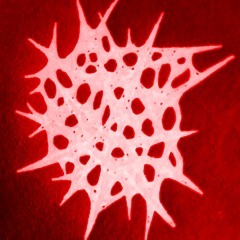 QUEMADOS - ERROR SYNTAX