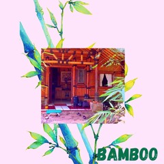 Bamboo Demo 8
