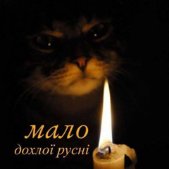 Автозак