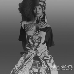 Didn't Cha Know (Instrumental)