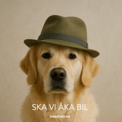 Ska Vi Åka Bil