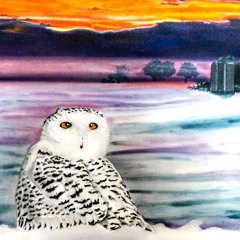 The Snowy Owl