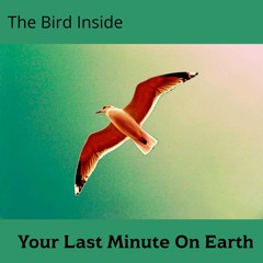 Your Last Minute On Earth - Lyrics & Video on description