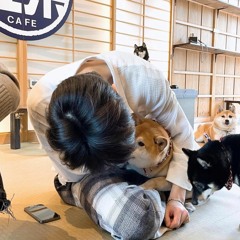 박정현 미안해