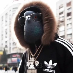 BestPhonks