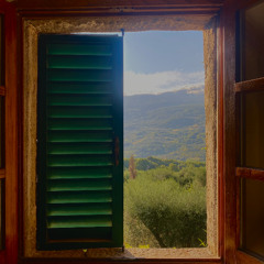 Tuscany Experiments 1 - 3