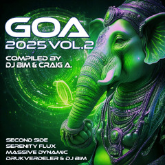 Goa 2025 Vol.2 - DJ Bim & Craig A. (Full lenght Version)