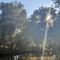 tell me lies (888cole)