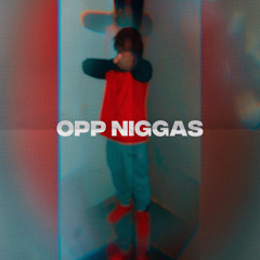 Opp niggas