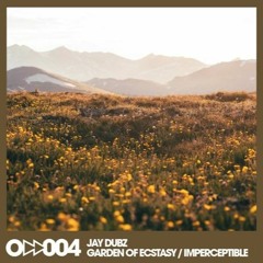 Jay Dubz - Imperceptible
