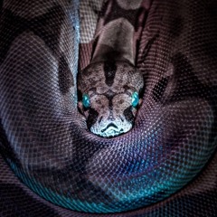 Temple of the Snake God