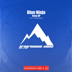 Blue Ninja - Good luck baby [Progressive Vibes Music - PVM1185]