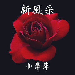 Stream 小萍萍music | Listen to songs, albums, playlists for free