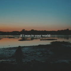 If I was in your world