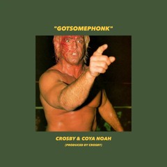 CROSBY & COYA NOAH - GOTSOMEPHONK
