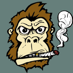 stoned apes VINYL ON VALUIM min dub tech 16