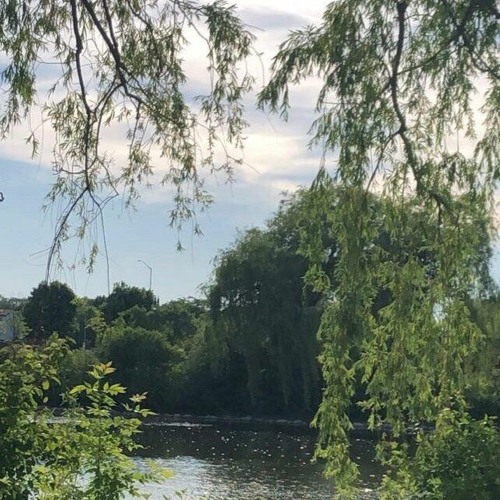 @useftrbl - N2deep (prod @angldusttt + @70fucking3) YGGDRASIL RADIO EXCLUSIVE