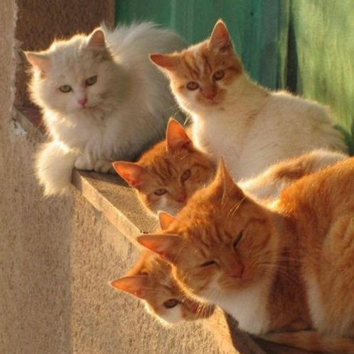 буерак случайность slowed