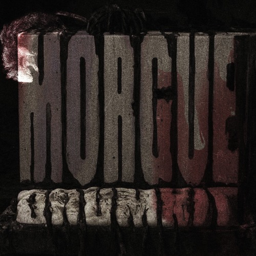 [MORGUE] CLIPS w/ VIGLEZZ, NORTHSIDEMIRACLE, LEO, FLXWLXSS
