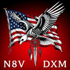 N8V/AMERICAN SLAVES
