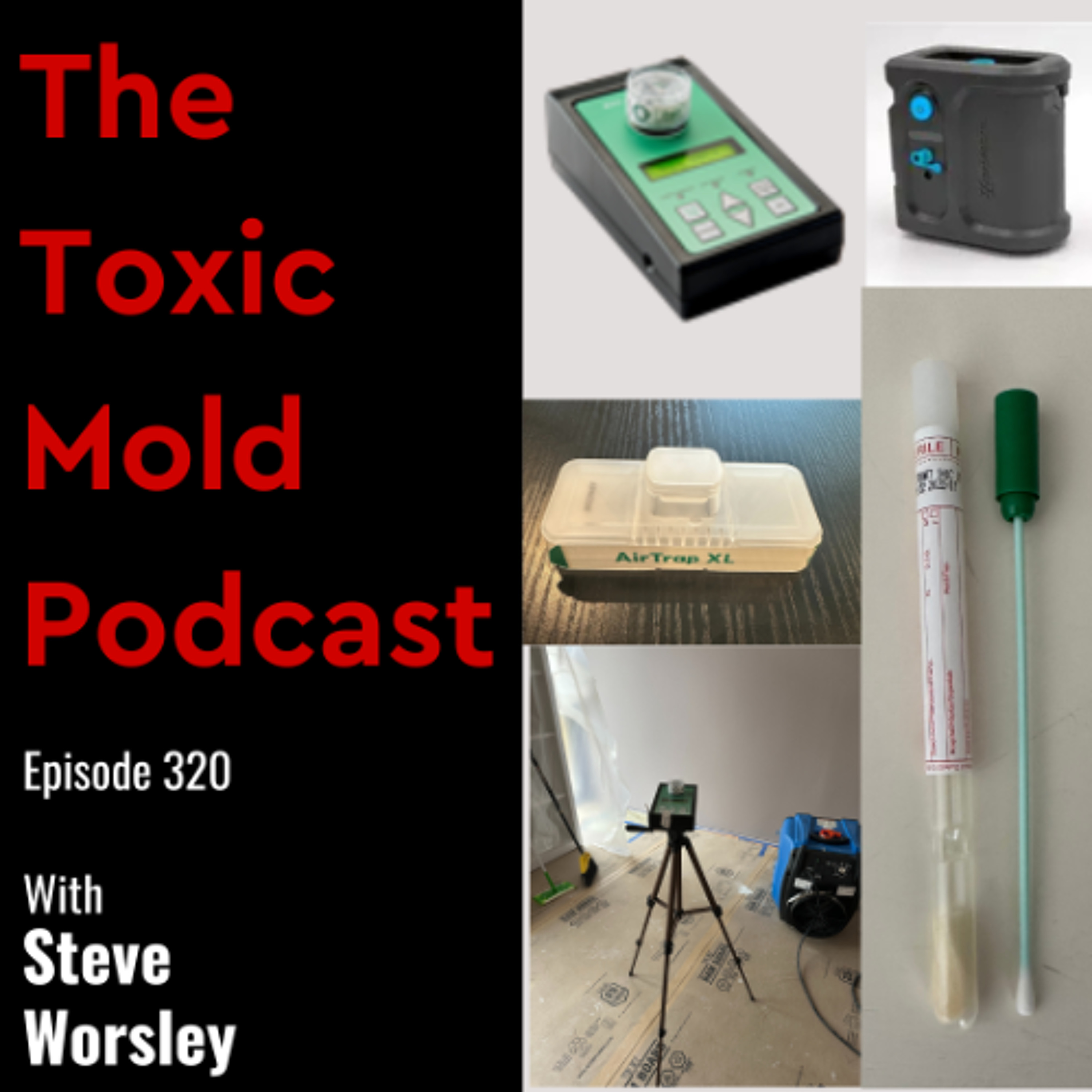The Toxic Mold Podcast