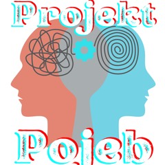 11.Pędzel - Projekt Pojeb