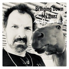 Bringing Down My Buzz