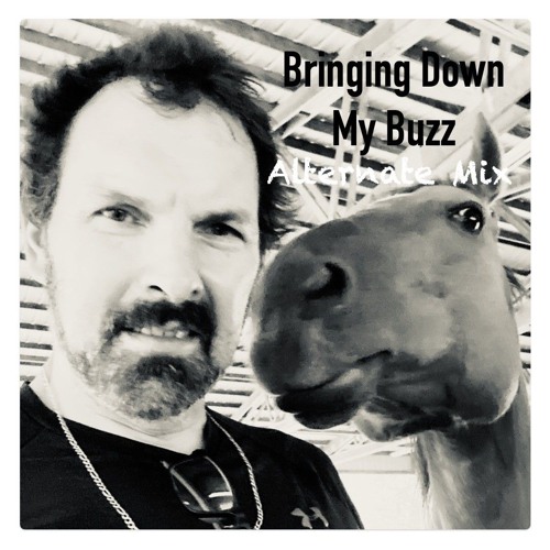 Bringing Down My Buzz
