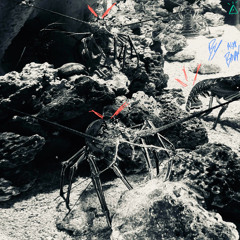 SPACE INVADER LOOP (INSTRUMENTAL)  2026