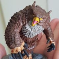 new beggining