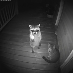 DOWNTOWN [Free for Profit | Beat #3] Prod.Tadl