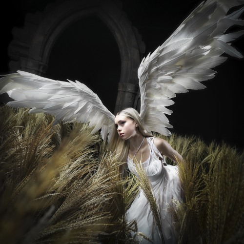 Erin LeCount - Godspeed (Wonx Remix)