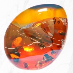 pP+b_003