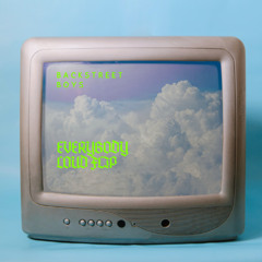 Backstreet Boys - Everybody ( LOUD FLIP )