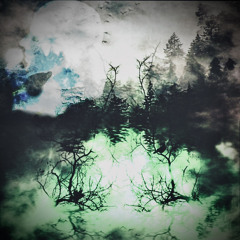 karneval (prod. mutstarr & cru1zin)