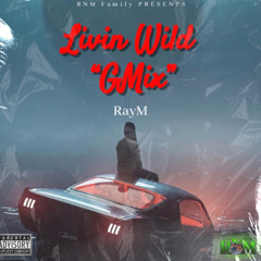 RayM - Livin Wild Gmix (Official Audio)