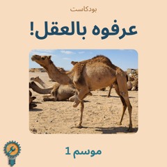 تشويقة الموسم الأول - عن الدين والعقل