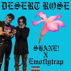 Desert Rose Feat. emoflytrap
