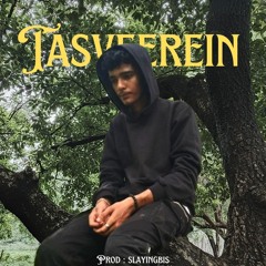 Tasveerein