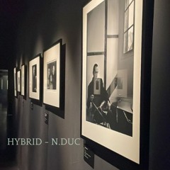 HYBRID - N.DUC