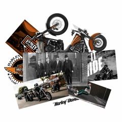 HARLEY DAVIDSON : 8 RAISONS DU SUCCÈS + CONSEILS À APPLIQUER POUR SA MARQUE