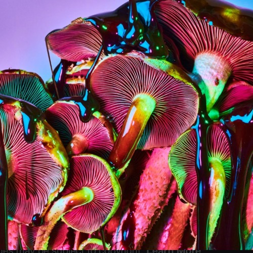 Forward Progress 2023 recap- Live