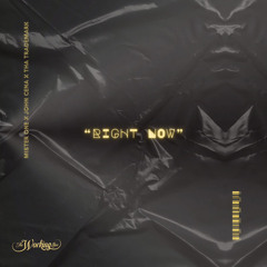 MISTER ONE JOHN CENA & THA TRADEMARK - RIGHT NOW .mp3