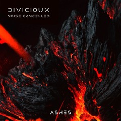 DIVICIOUX - Noise Cancelled