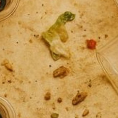 _loop_15_161120250312