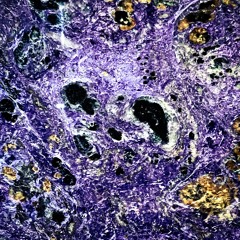 Brain Compost (feat. Legion Seven)