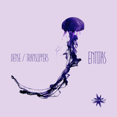 Hacker/Study music (Psybient, Psychill, Psybreaks, Ambient, Trance, Dark Prog, Tripping...)