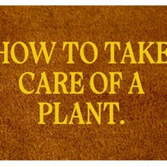 "How to Take Care of a Plant" - Short Film Score