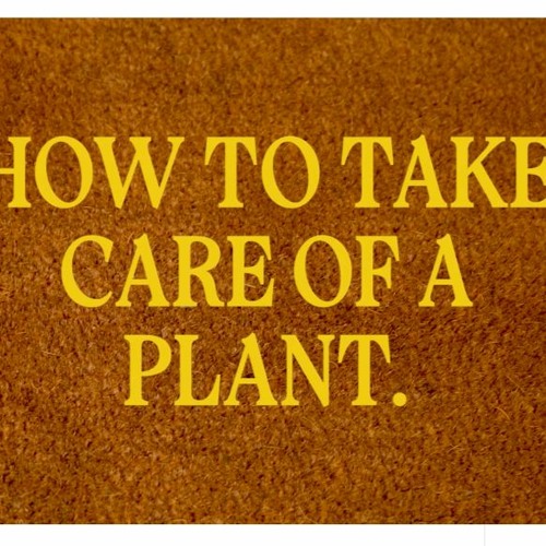 "How to Take Care of a Plant" - Short Film Score